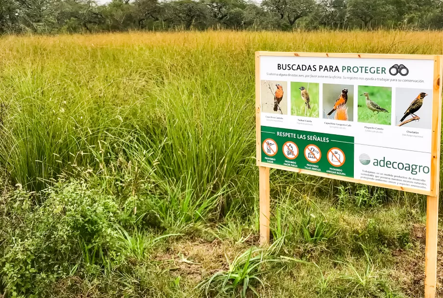 Carteles de pájaros buscados para proteger, señales de advertencia